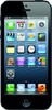 Apple iPhone 5 32GB - Советская Гавань